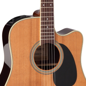 TAKAMINE Japan Dreadnought Ctw Elet Thermal