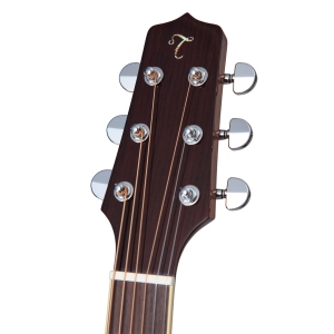 TAKAMINE Japan Dreadnought Ctw Elet Thermal