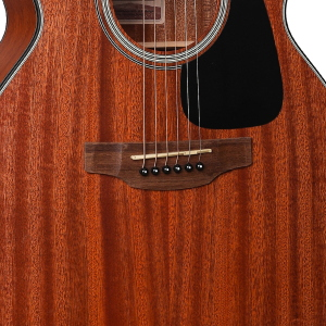 TAKAMINE G Series Nex Ctw Elet G