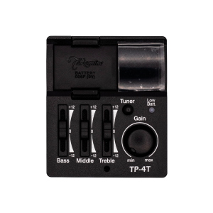 TAKAMINE G Series Nex Ctw Elet G