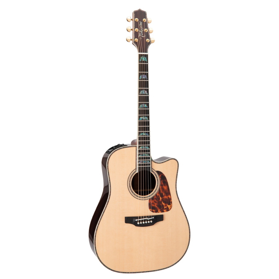 TAKAMINE Japan Dreadnought Ctw Elet Pro10