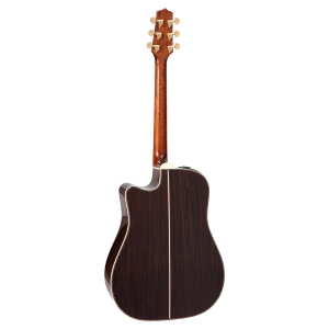 TAKAMINE Japan Dreadnought Ctw Elet Pro10