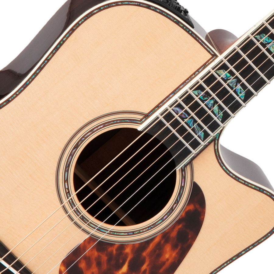 TAKAMINE Japan Dreadnought Ctw Elet Pro10