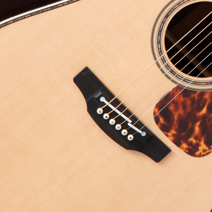 TAKAMINE Japan Dreadnought Ctw Elet Pro10
