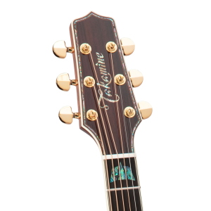 TAKAMINE Japan Dreadnought Ctw Elet Pro10