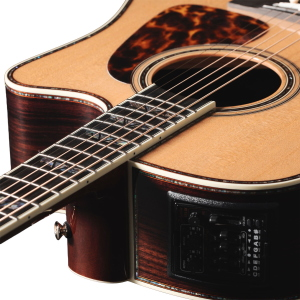 TAKAMINE Japan Dreadnought Ctw Elet Pro10