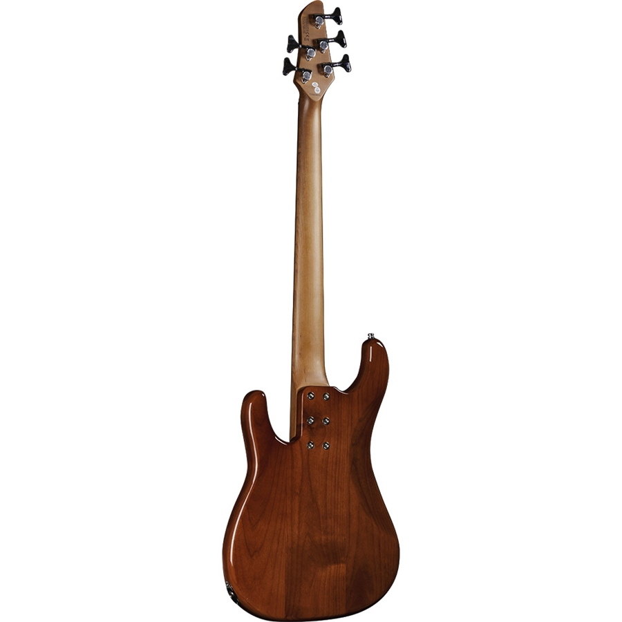 EKO Aire 800-5 Musa Bass Honey Burst