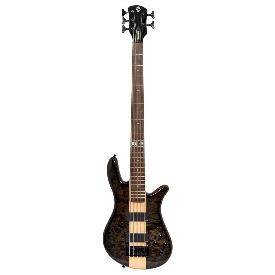 SPECTOR Ns-2000/5 Dan Briggs Black/Walnut Stain