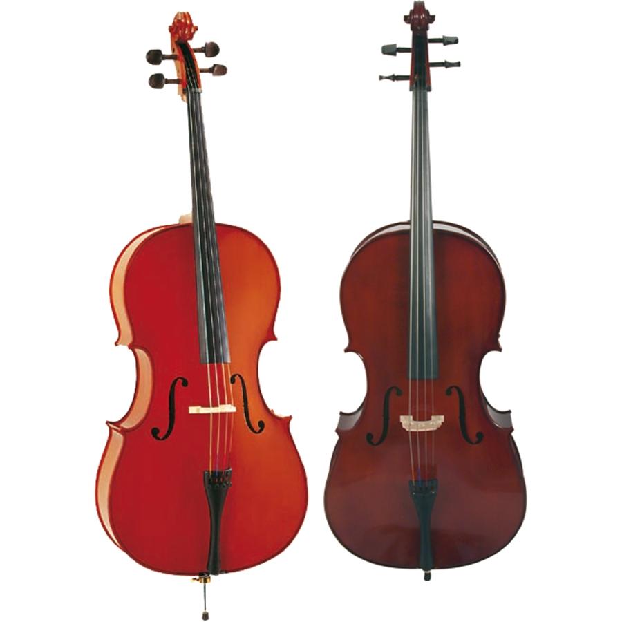 EKO bowed instruments EBC 6012 4/4