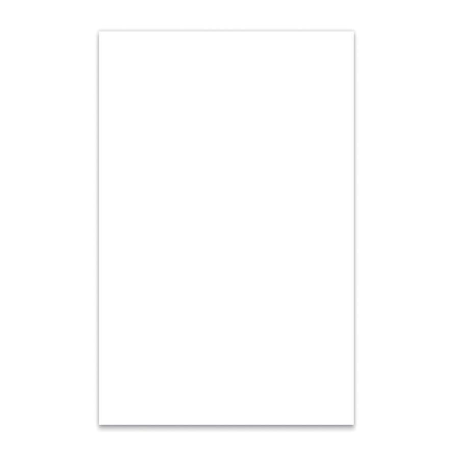 BOSTON PG-334-W foglio mascherina