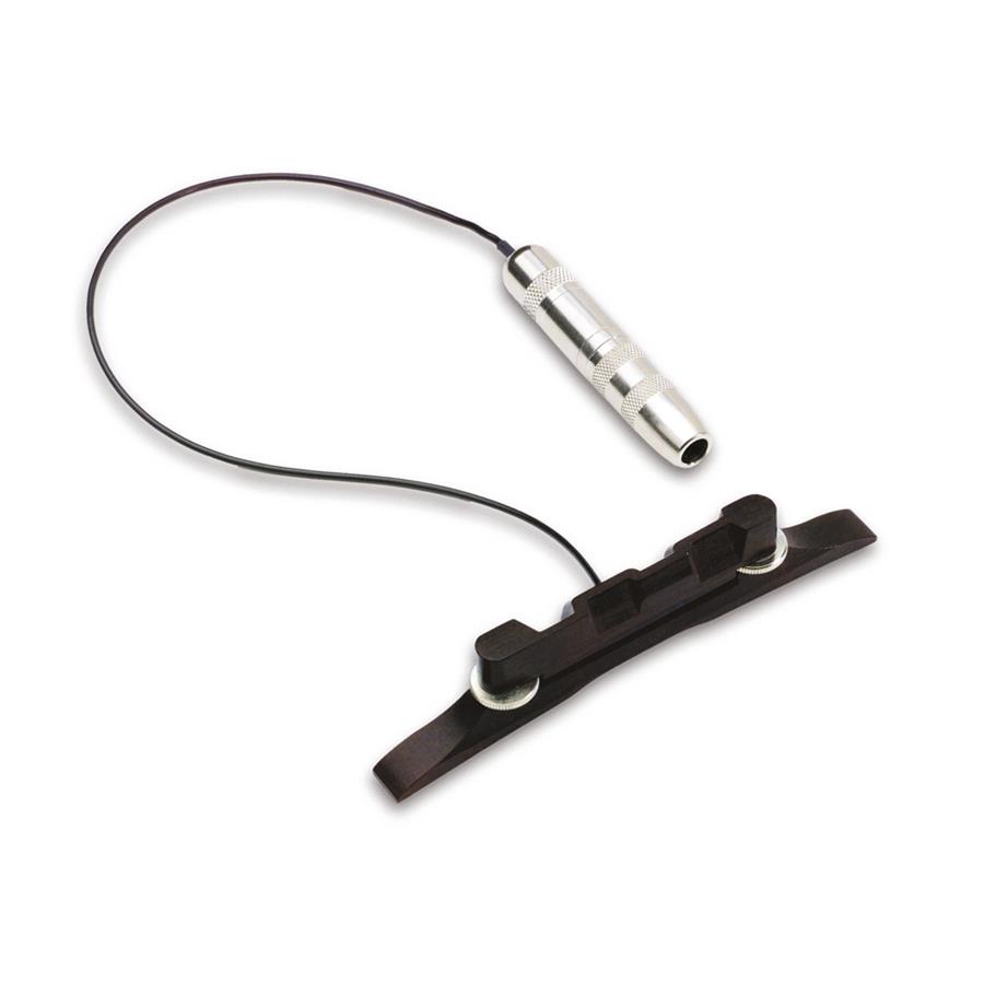 FISHMAN PRO-M10-0MA