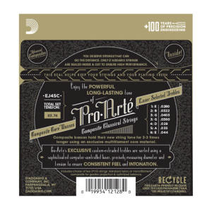 D'Addario EJ45C pro artè silver composites