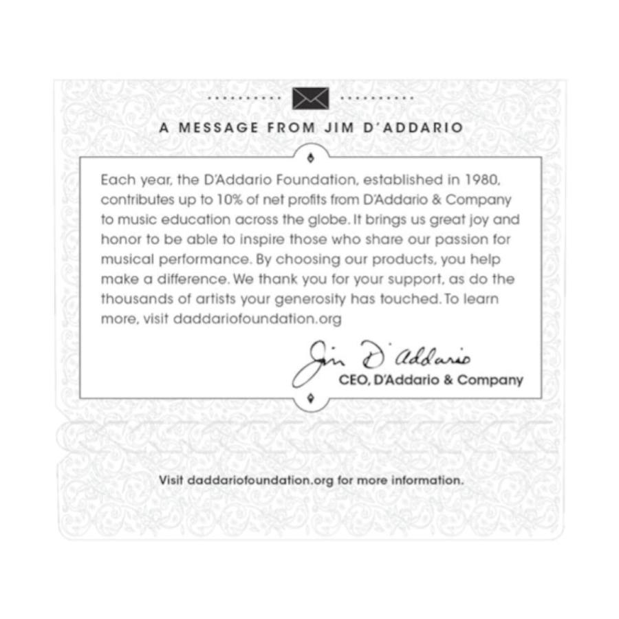 D'Addario EJ45C pro artè silver composites