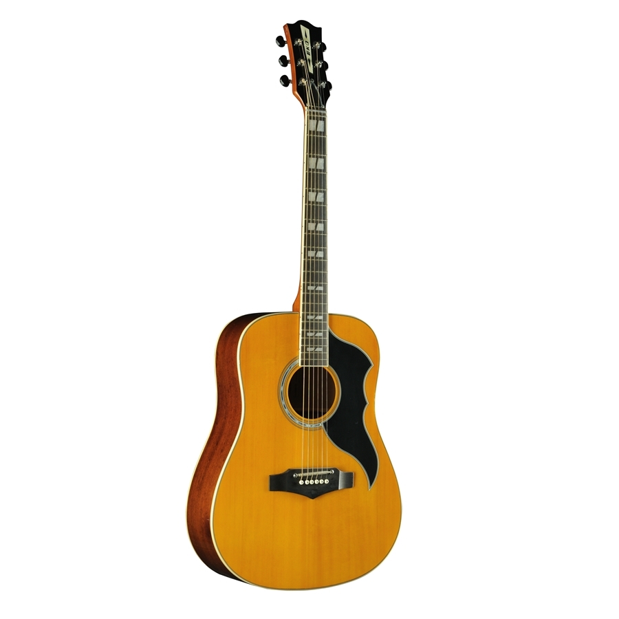 EKO RANGER VI VR EQ NATURAL TOP STAINED Chitarra acustica