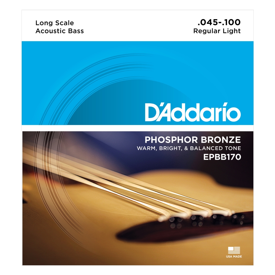D'Addario PROSTEELS EPBB170 045/100