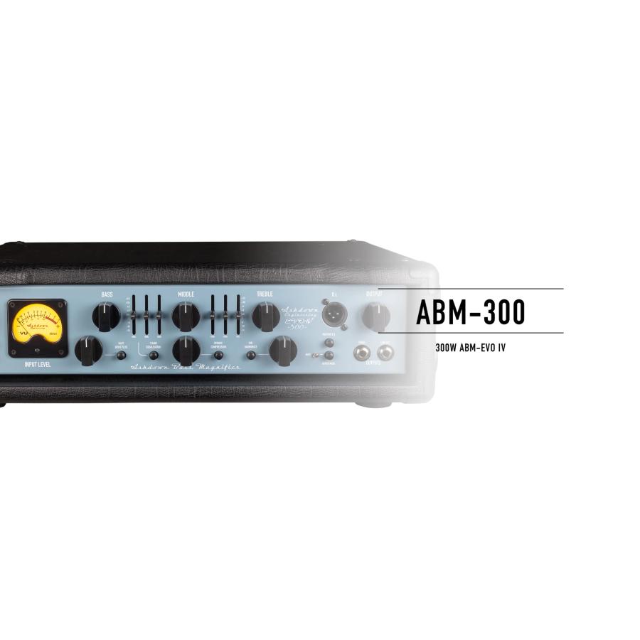 ASHDOWN ABM-300-EVO IV