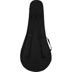 FENDER PM-180E Mandolin PM-180E MANDO W/B, ACB