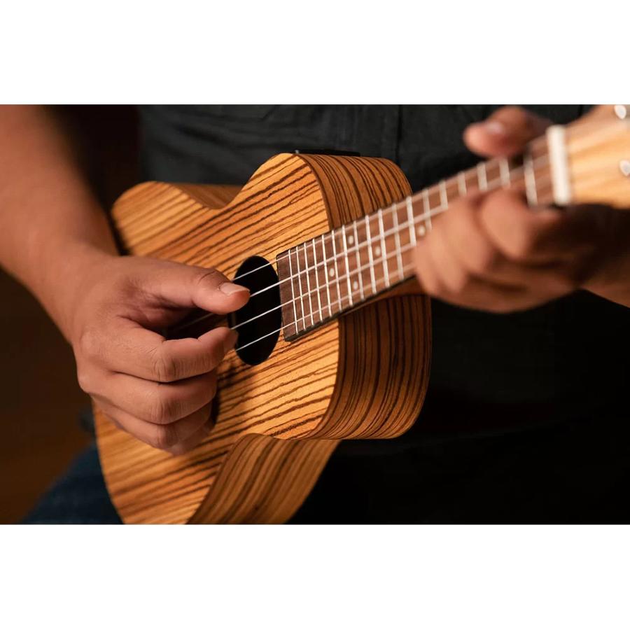 ORTEGA RFU11ZE