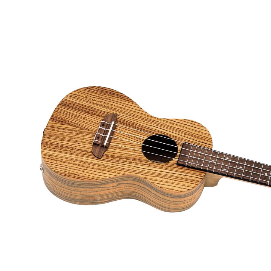 ORTEGA RFU11ZE
