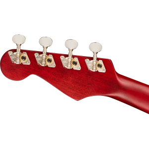 FENDER Avalon Tenor Ukulele CHY WN