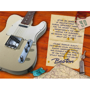 BOSTON CEB-250 astuccio basso softcase rettangolare