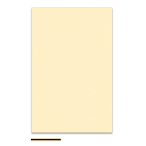 BOSTON PG-334-CB foglio mascherina