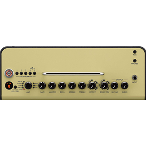 YAMAHA THR10II