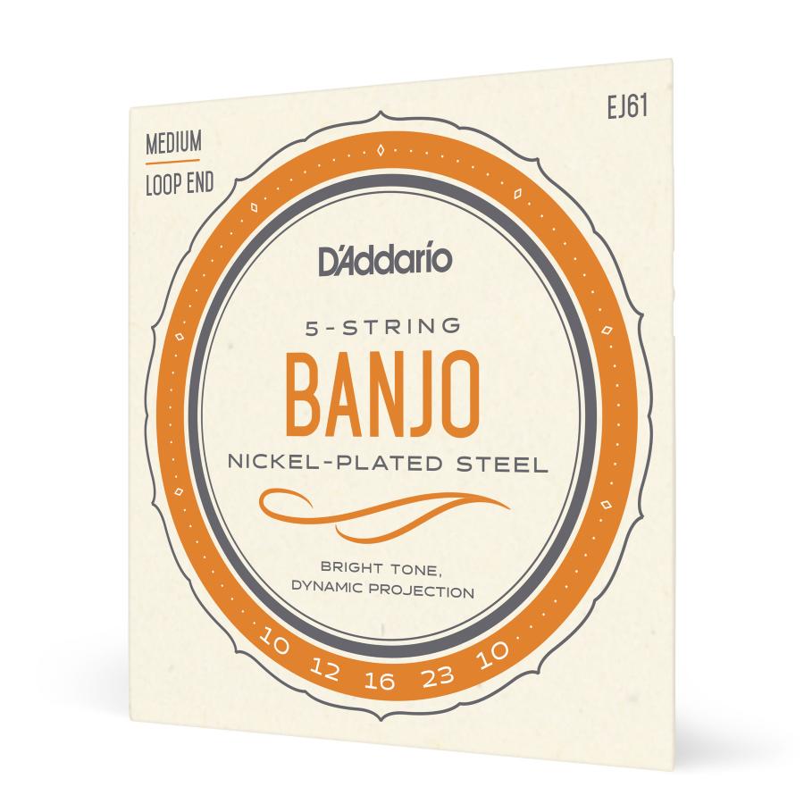 D'Addario D'Addario EJ61 Banjo Nickel