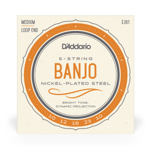 D'Addario D'Addario EJ61 Banjo Nickel