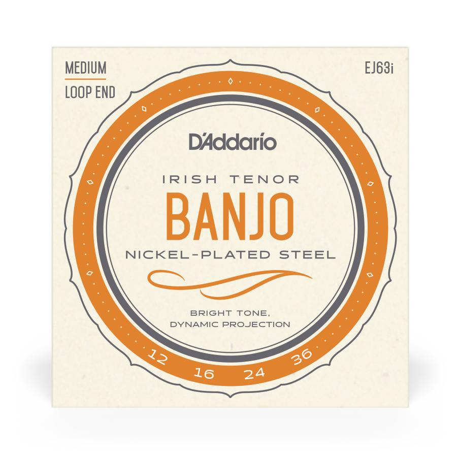 D'Addario EJ63I Irish Tenore Banjo Nickel 12-36