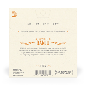 D'Addario EJ63I Irish Tenore Banjo Nickel 12-36