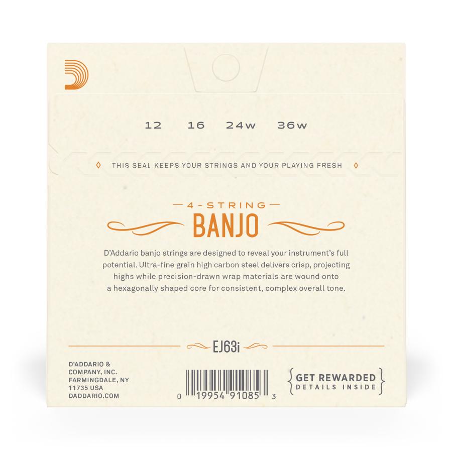 D'Addario EJ63I Irish Tenore Banjo Nickel 12-36