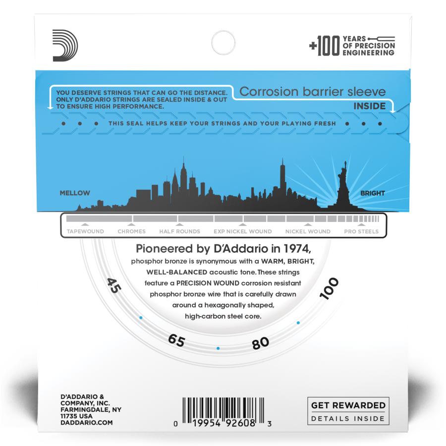 D'Addario PROSTEELS EPBB170 045/100