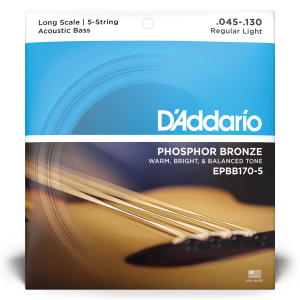 D'Addario EPBB170-5 5-String Acoustic Bass Long Scale 45-130