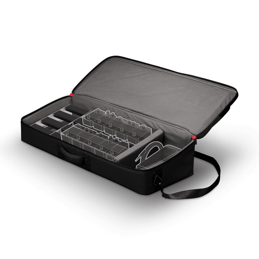 D'Addario Custodia Pedalboard PW-BLPBT-02