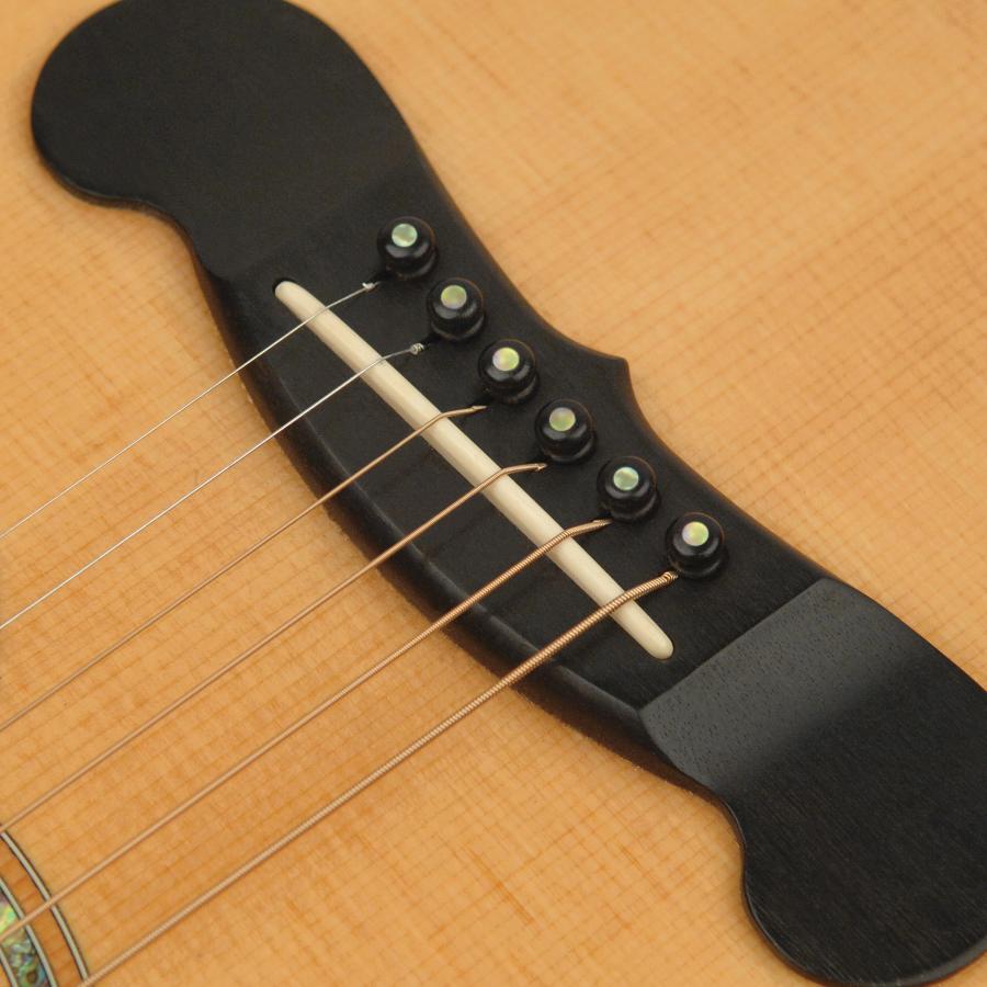 D'Addario Ebony bottone cinta & piroli PWPS2 chitarra